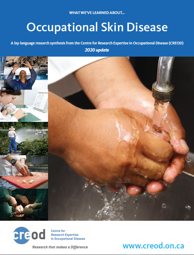 Cover of Occupational Skin Disease Research Synthesis report